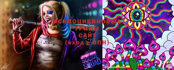 а пвп мука Иннополис