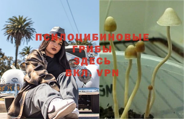 круглые Инта